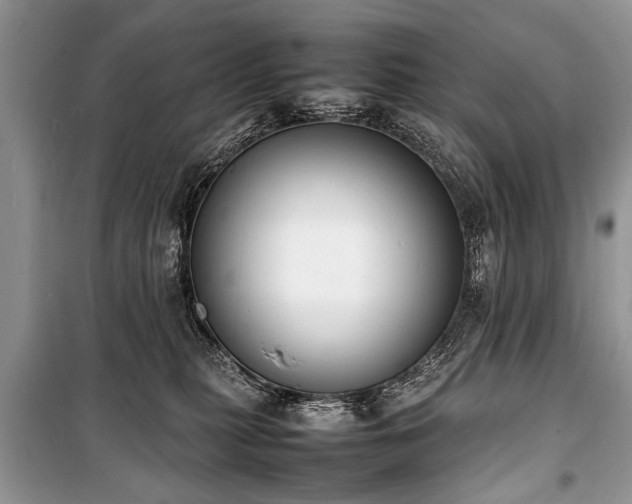 X0000100980279200806241551