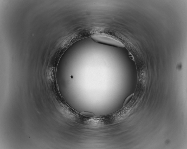 X0000100980280200806241551