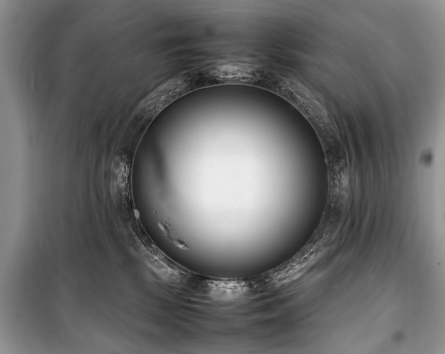 X0000100980281200806241551