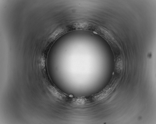 X0000100980282200806241551