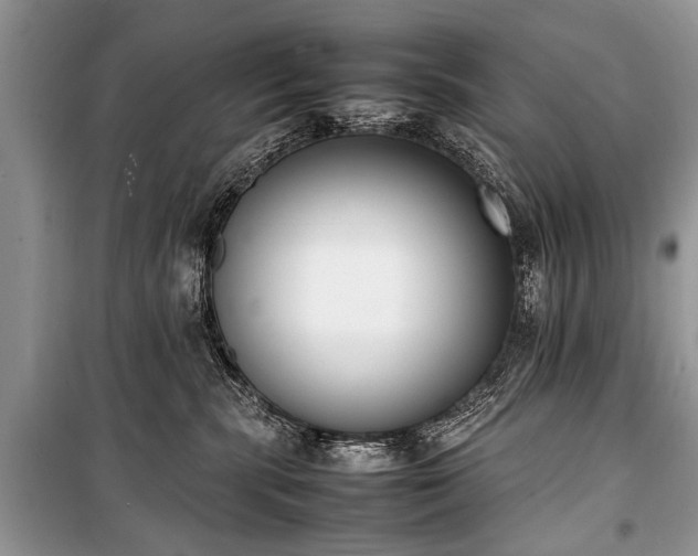 X0000100980283200806241551