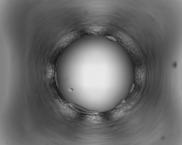 X0000100980284200806241551