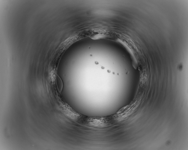 X0000100980285200806241551