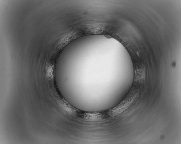 X0000100980286200806241551