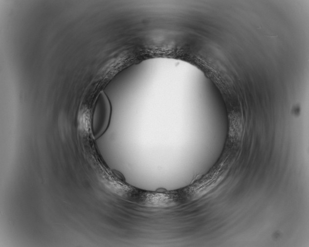 X0000100980287200806241551