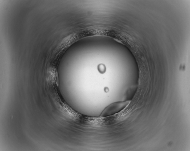 X0000100980288200806241551