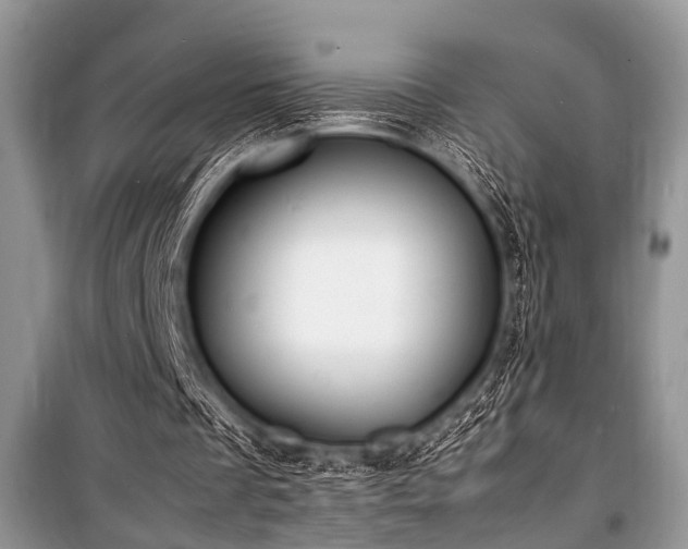 X0000100980289200806241550