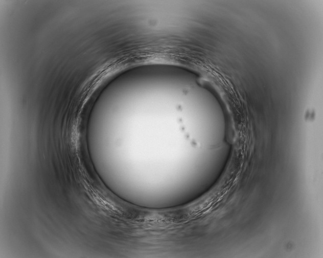 X0000100980290200806241550