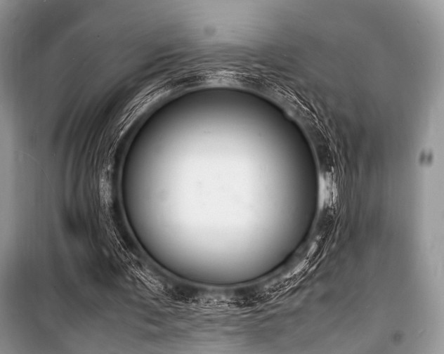 X0000100980291200806241550