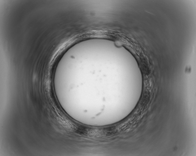 X0000100980293200806241550