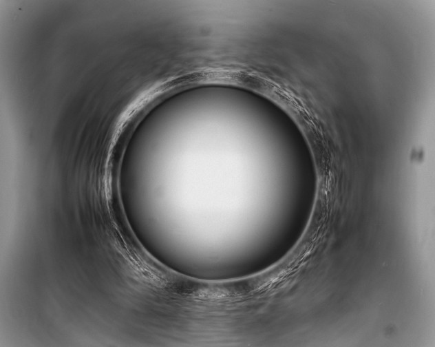 X0000100980294200806241550