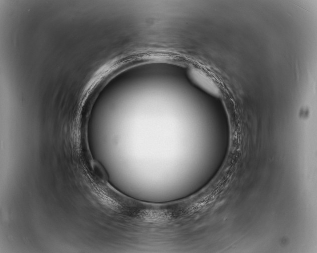 X0000100980296200806241550