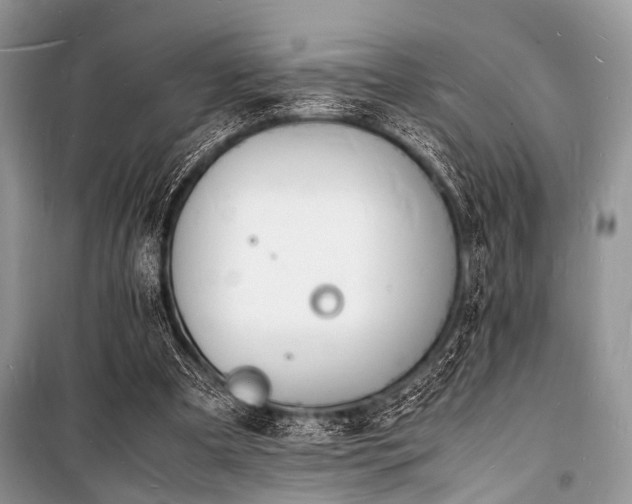 X0000100980297200806241550