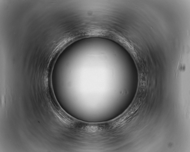 X0000100980298200806241550