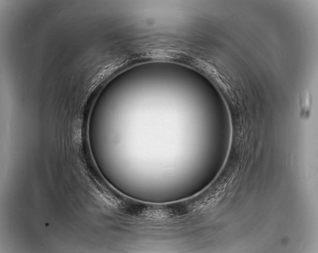 X0000100980299200806241550