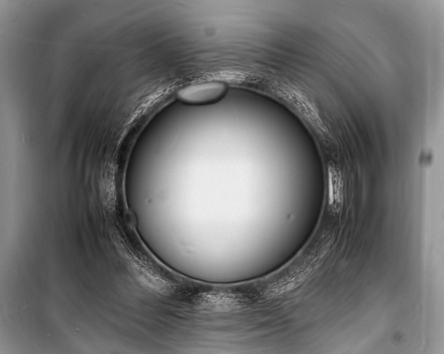 X0000100980300200806241550