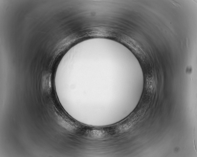 X0000100980302200806241550