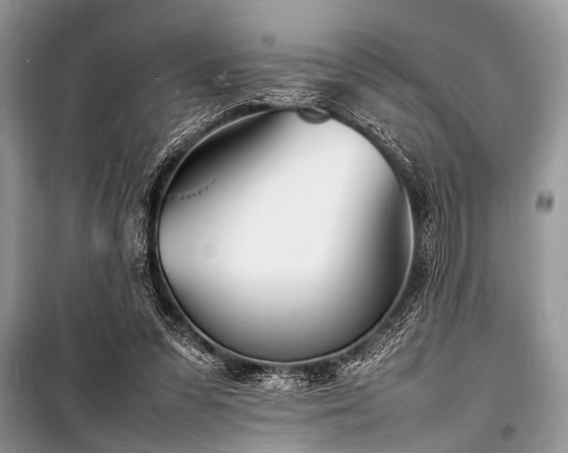 X0000100980303200806241550