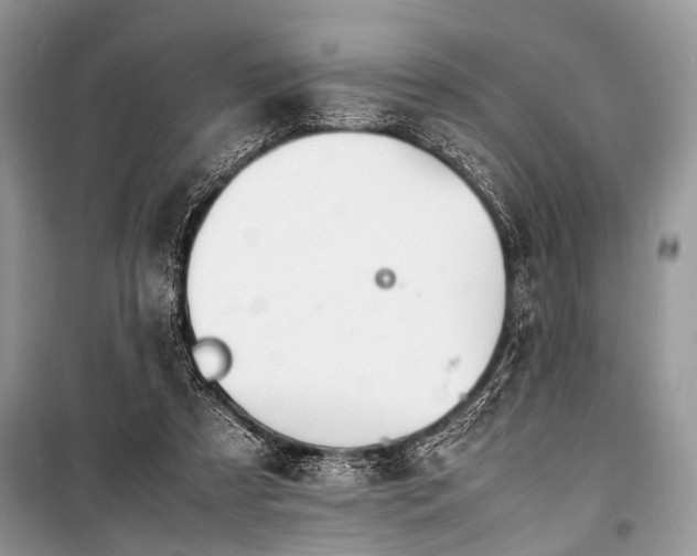 X0000100980305200806241550