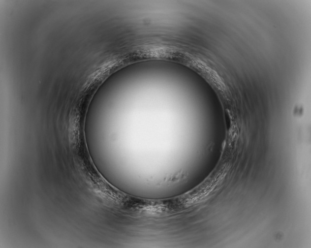 X0000100980306200806241550