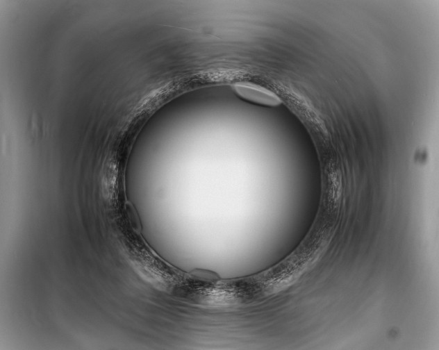 X0000100980308200806241549