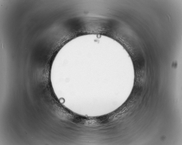 X0000100980309200806241549