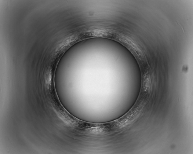 X0000100980310200806241549