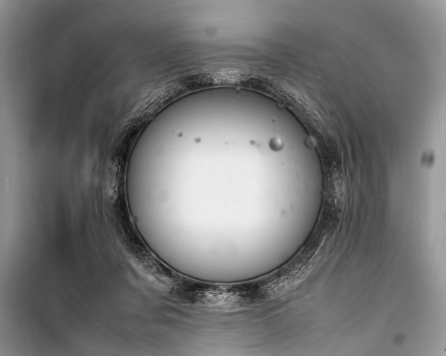 X0000100980311200806241549