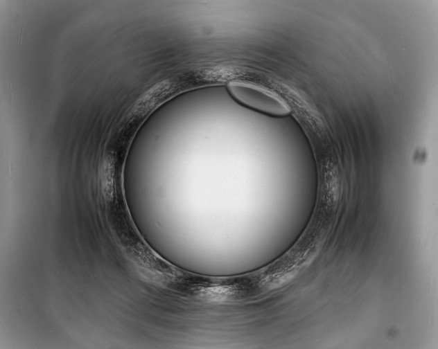 X0000100980312200806241549