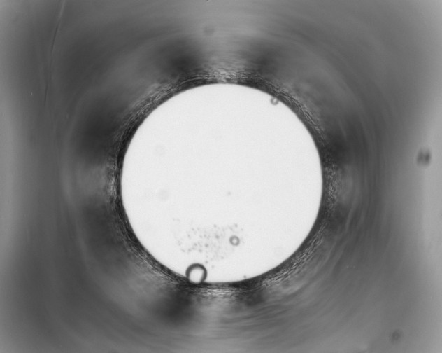 X0000100980313200806241549