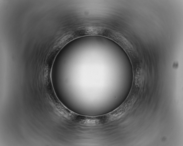 X0000100980314200806241549