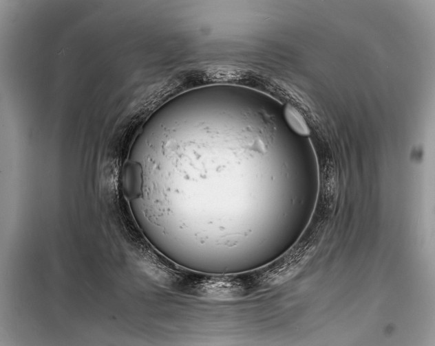 X0000100980315200806241549