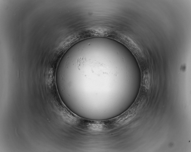 X0000100980318200806241549