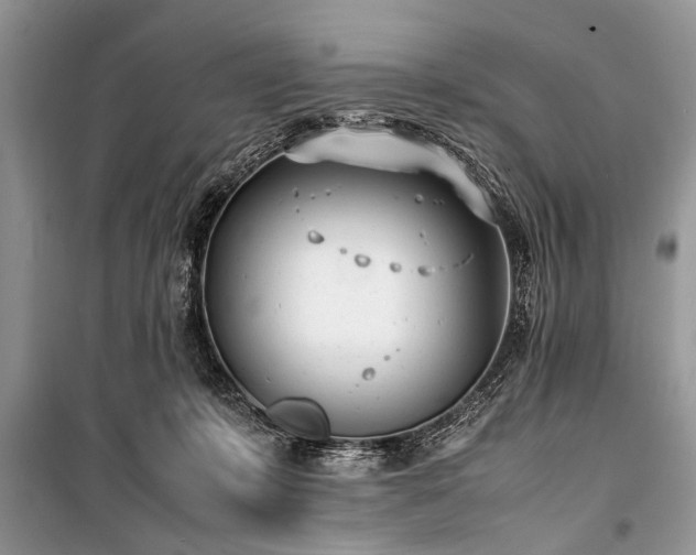 X0000100980319200806241549