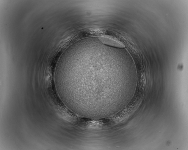 X0000100980320200806241549