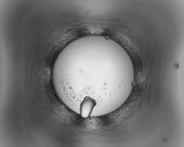 X0000100980321200806241549