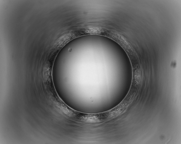 X0000100980322200806241549