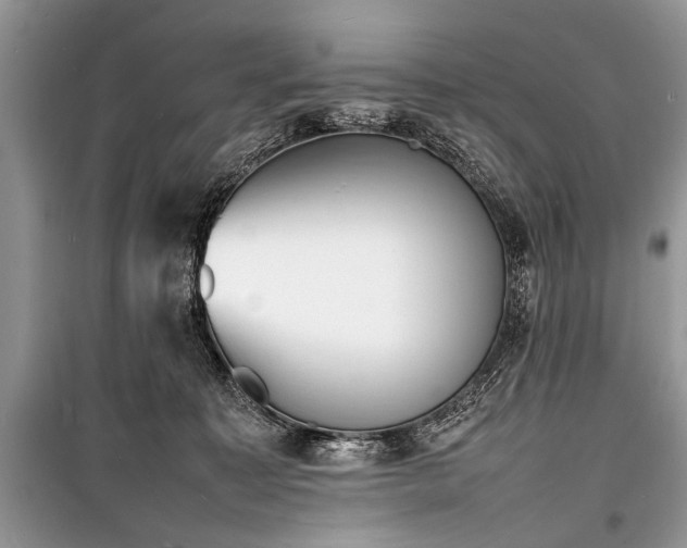 X0000100980323200806241549