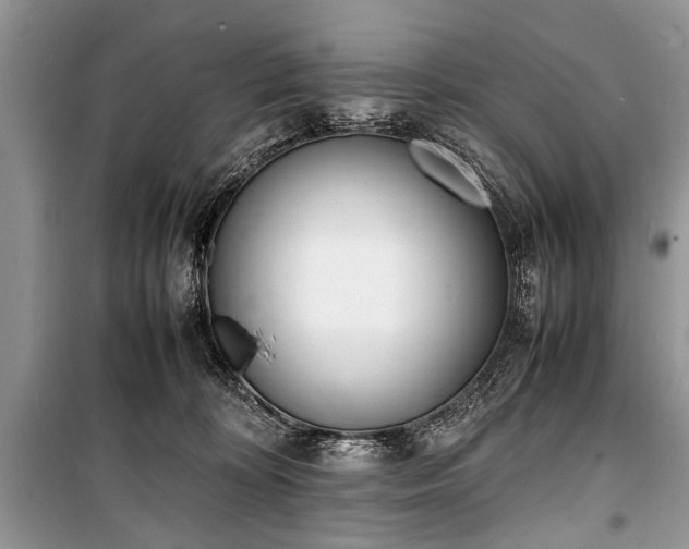 X0000100980324200806241549