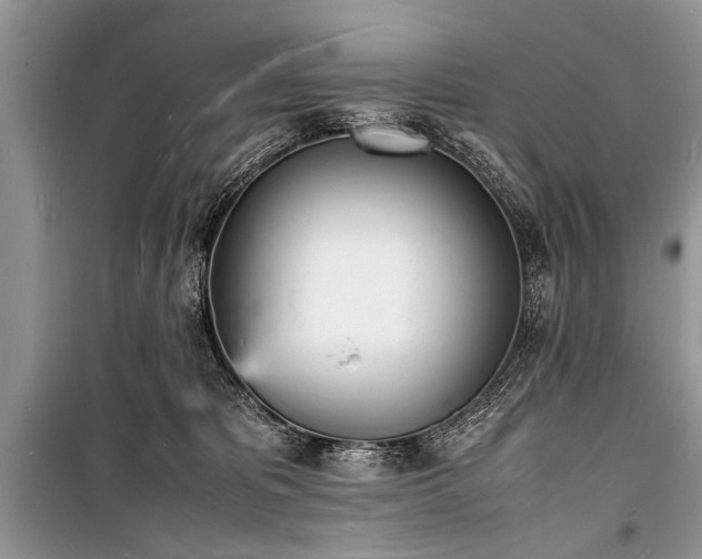 X0000100980325200806241549