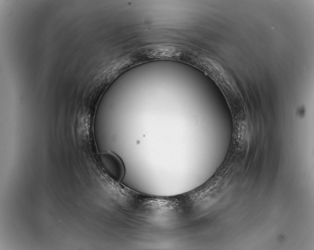 X0000100980326200806241549