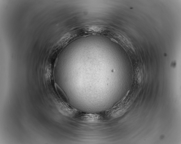 X0000100980328200806241549