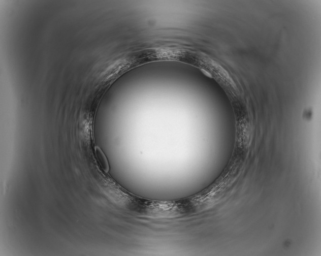 X0000100980329200806241549