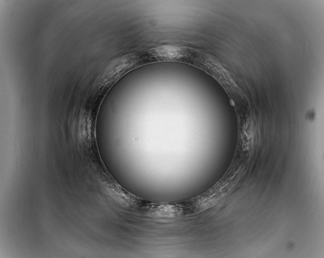 X0000100980330200806241549