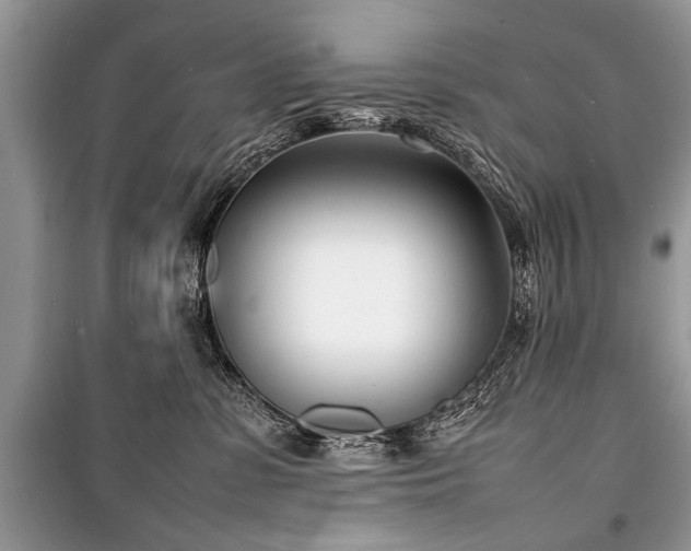 X0000100980331200806241549