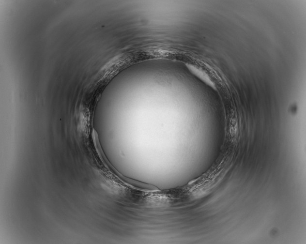 X0000100980332200806241549