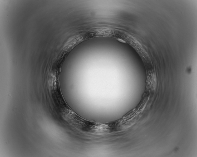 X0000100980333200806241549