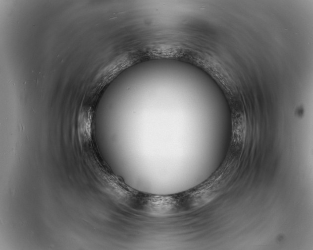 X0000100980334200806241549