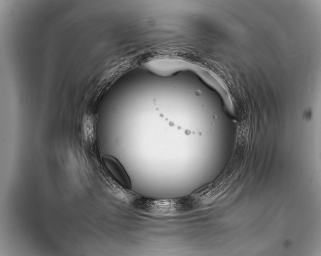 X0000100980335200806241549