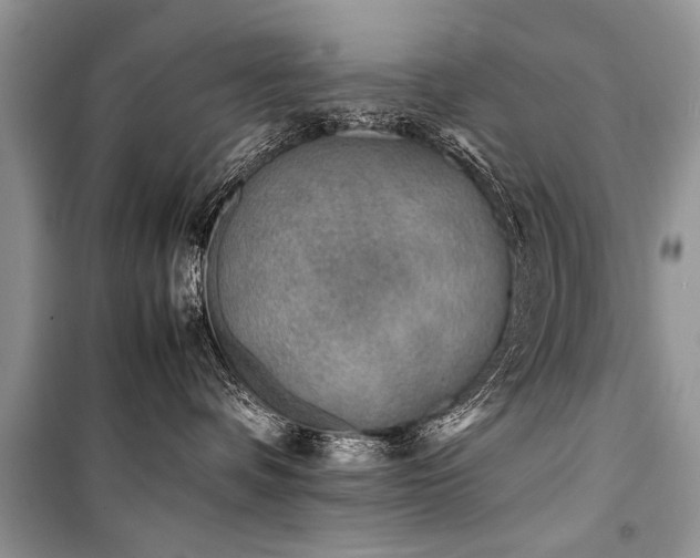 X0000100980336200806241549